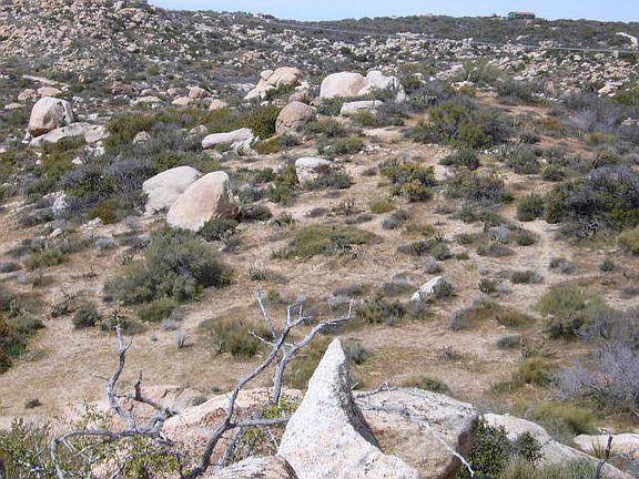 5th image of 43300 Old Highway 80