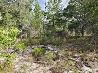 Tbd Ne 81st St, Bronson, FL 32621