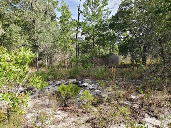 Tbd Ne 81st St, Bronson, FL 32621