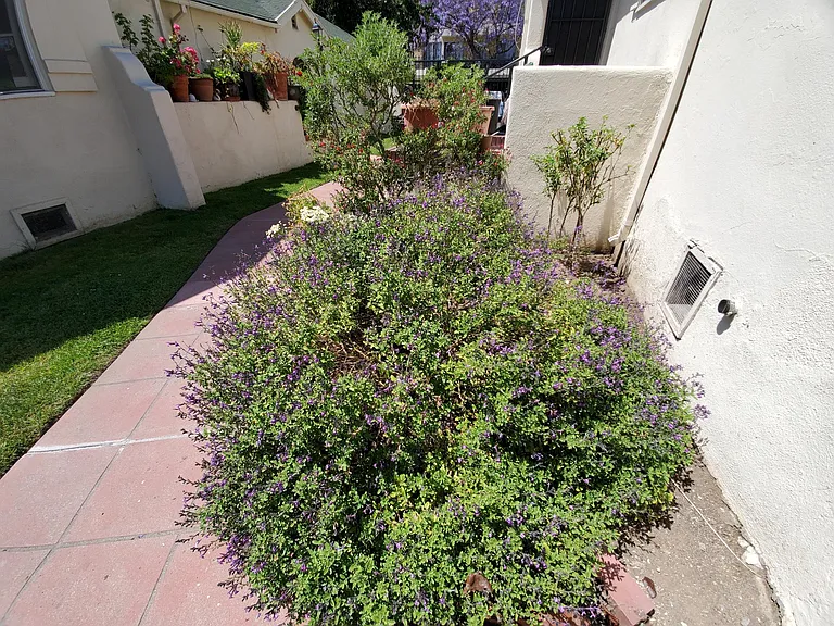 950 1/2 N Serrano Ave — Photo 17