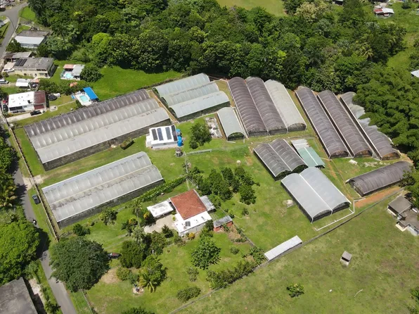 137 Km 9.9 Bo Franquez La Alianza, Morovis, PR 00687