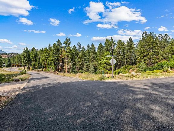 4th image of 307 Glacier Cliff Drive