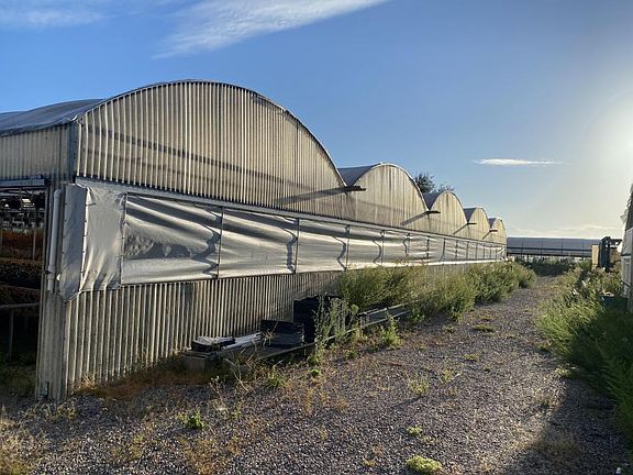 Hoop houses