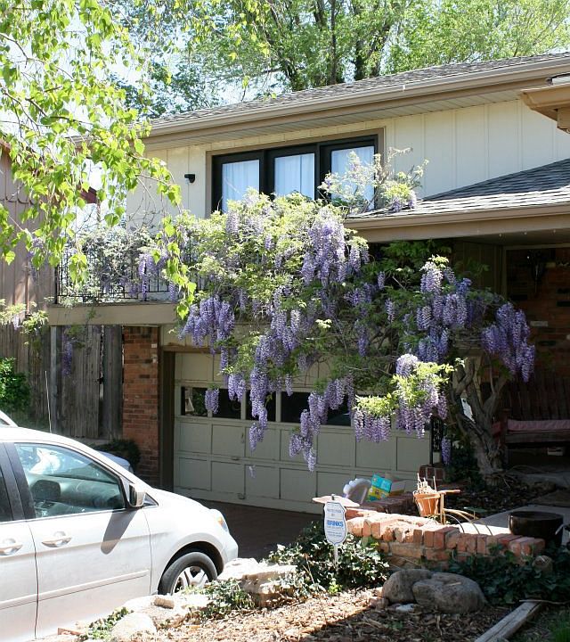 Front - Balcony, Wisteria