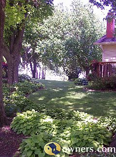 Hosta garde, side yard view