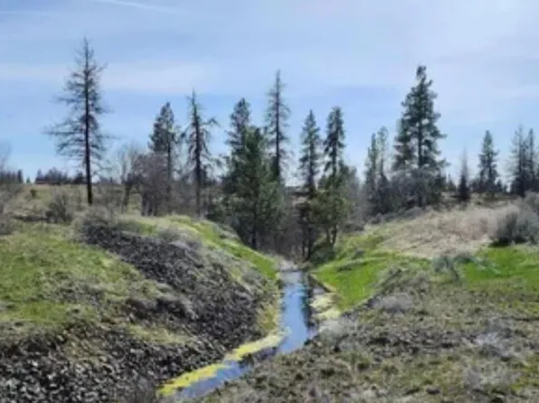LOT 8 Telford Rd N, Davenport, WA 99122