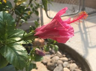 44747 Calston Ave, Lancaster, CA 93535