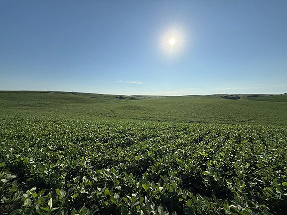 2nd image of 8049/ACRE S Greeley County