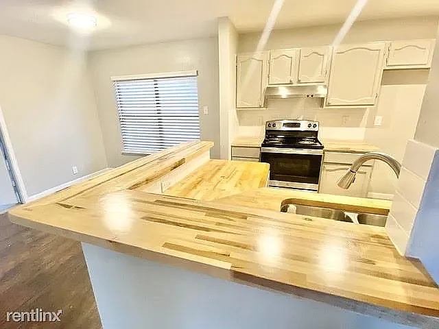 11227 Spring Mint Dr — Photo 22
