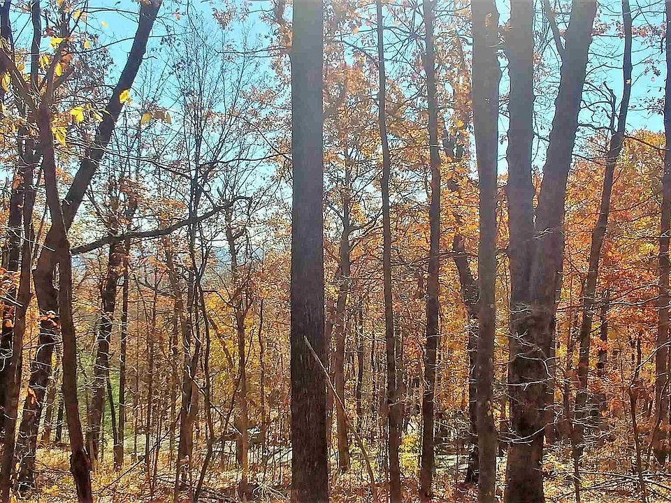 2nd image of 1967 Laurel Springs Dr