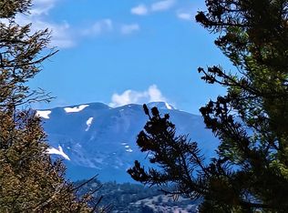 1825 Middle Fork Vis, Fairplay, CO 80440