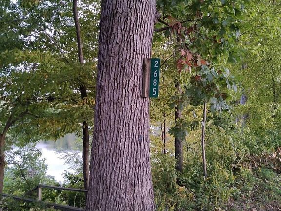 5th image of Vl W Selkirk Lake Dr #10