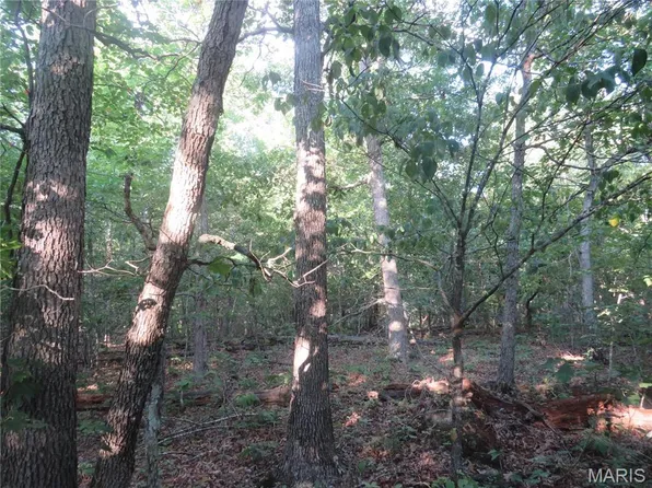 0 County Road 748, Centerville, MO 63633