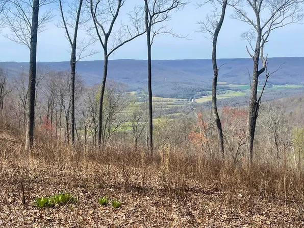 366 Volunteer St, Jasper, TN 37347