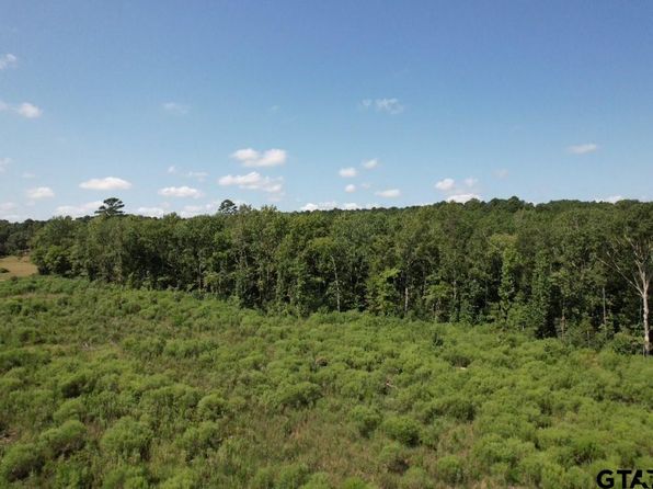 County Road 3198, Mount Enterprise, TX 75681