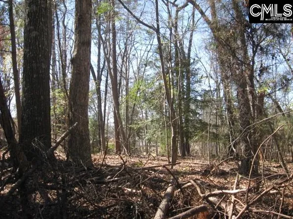 517 Wateroak Trl, Chapin, SC 29036