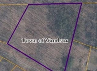 193 Beaver Lake Cir, Windsor, NY 13865