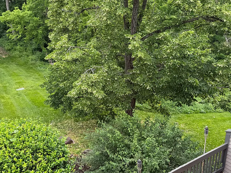 2921 Prospect Point Dr — Photo 5