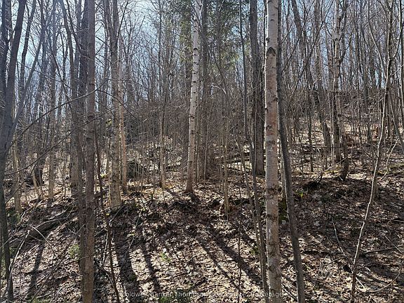 2nd image of 0 Hamilton Lake Rd