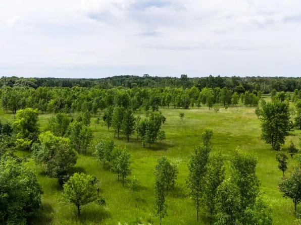 LOT 2 Rutten Ln NE, Carlos, MN 56319