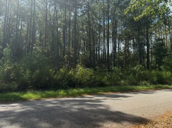A 3 Robertson Loop Rd, Pollock, LA 71467