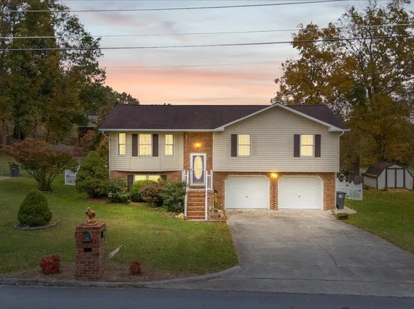 141 Valley Crest Dr, Mt Carmel, TN 37645