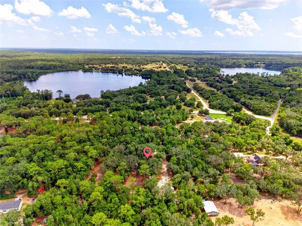 9955 SE 160TH AVENUE, OCKLAWAHA, FL 32179