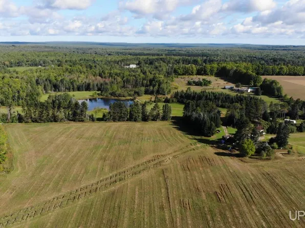 1 Strawberry Ln, Nisula, MI 49952
