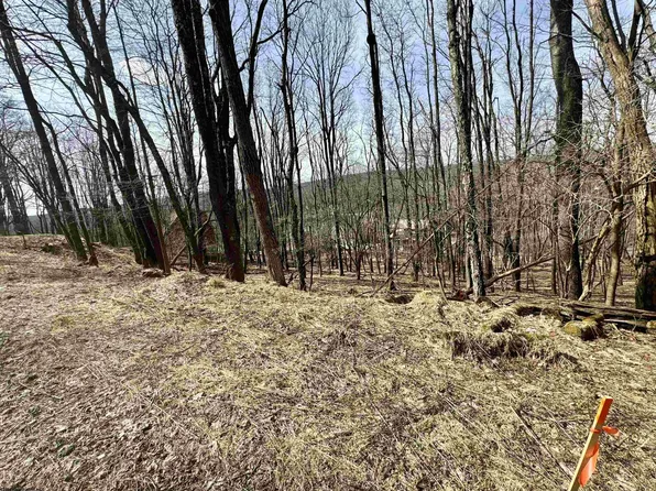 LOT 10 Fern Ct, Terra Alta, WV 26764