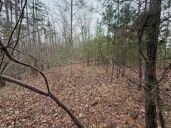 4th image of 0 Kestrel Ridge Cir Lot 17