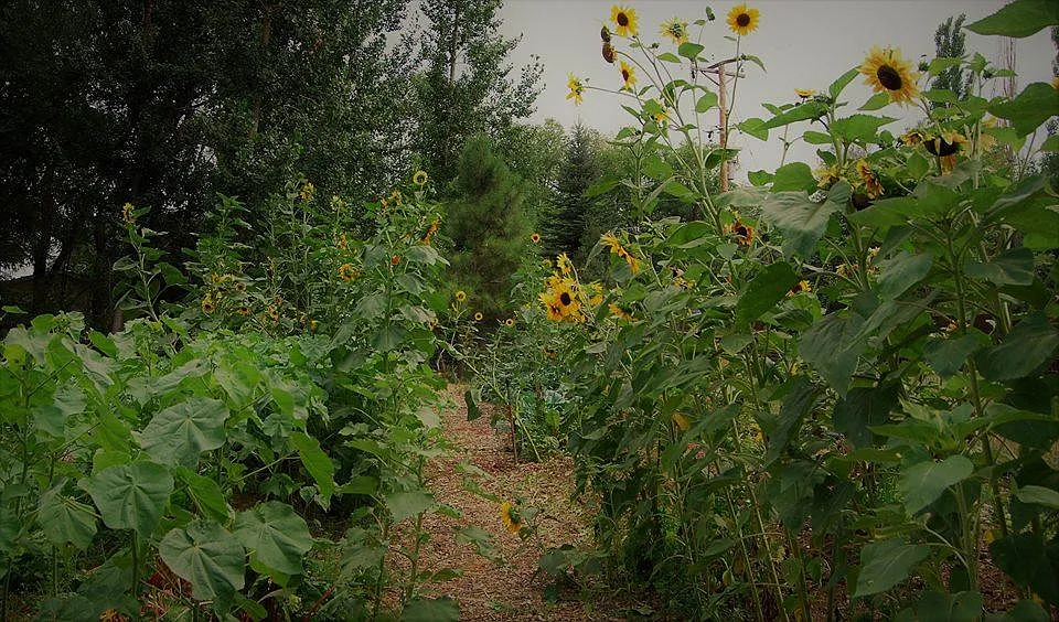 W County Road 54G, Laporte — Photo 4