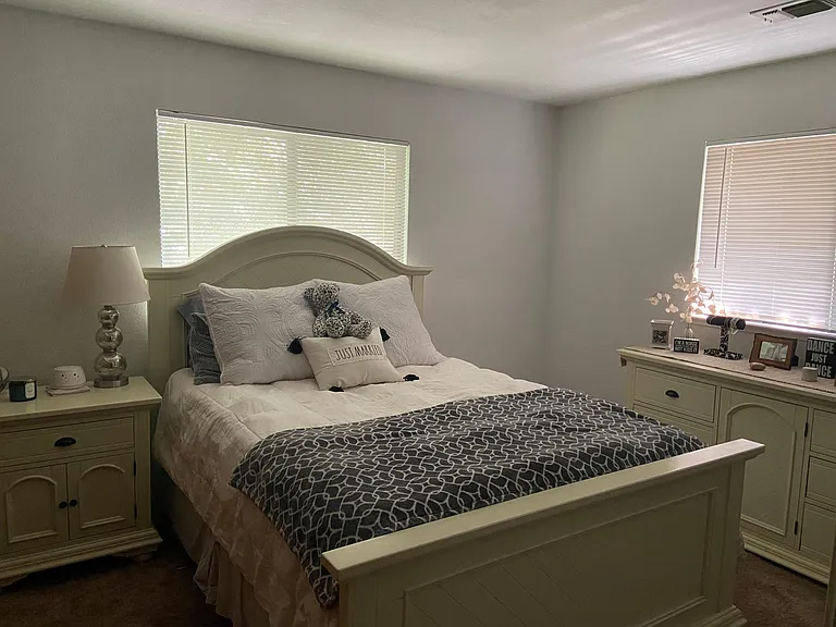 12335 Shaunsetta Ct #12335 — Photo 5