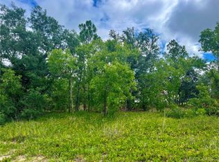 1 Hackberry Dr, Homosassa, FL 34446