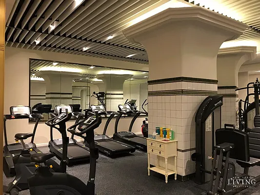 Rented by NY Living Solutions | media 41