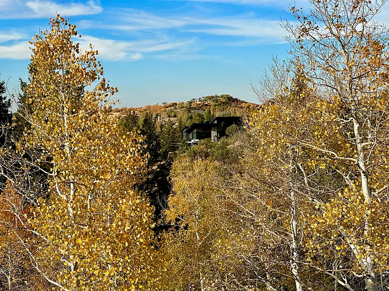 7325 Pine Ridge Dr — Photo 32