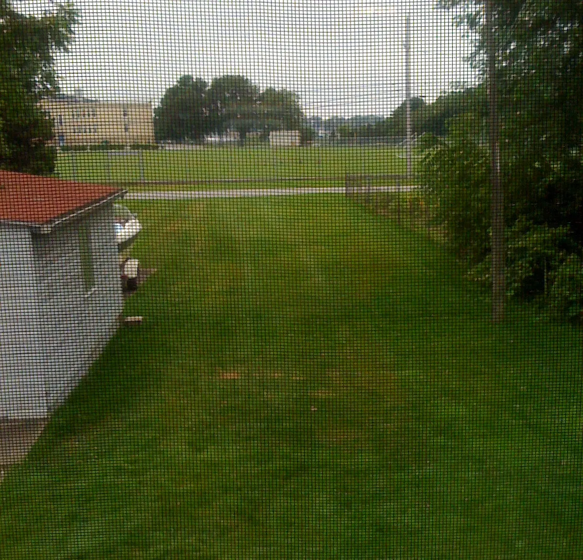 3 bed, 1100 sqft, $2,100 — Photo 4