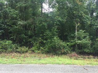 36 Crabapple Ln, Lake Waccamaw, NC 28450