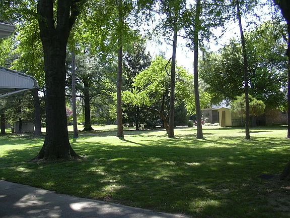 Nice tree shade in back yard