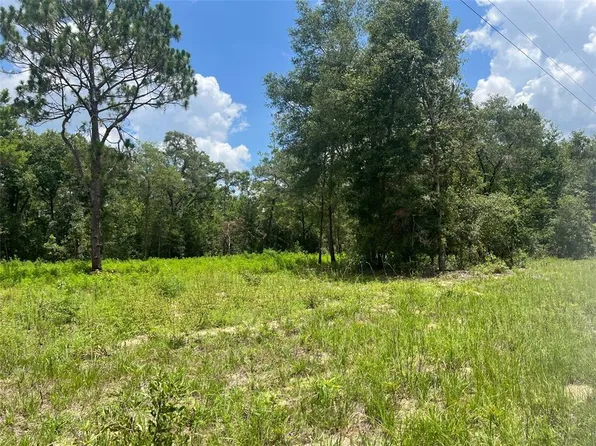 NE 78th Ln, Bronson, FL 32621