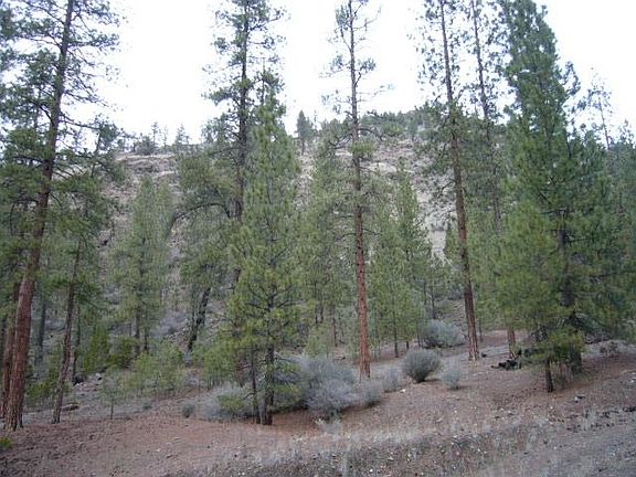 5th image of E Moffett Ck Rd
