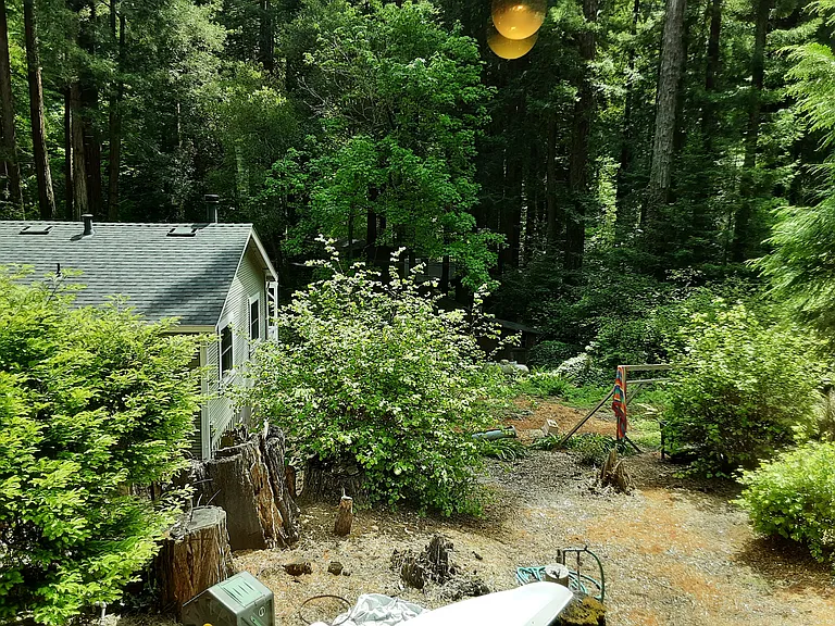 Madrone Ave — Photo 5