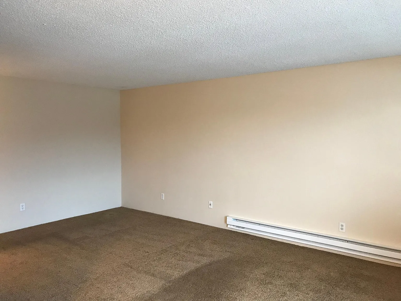 1 bed, 700 sqft, $1,900 — Photo 3