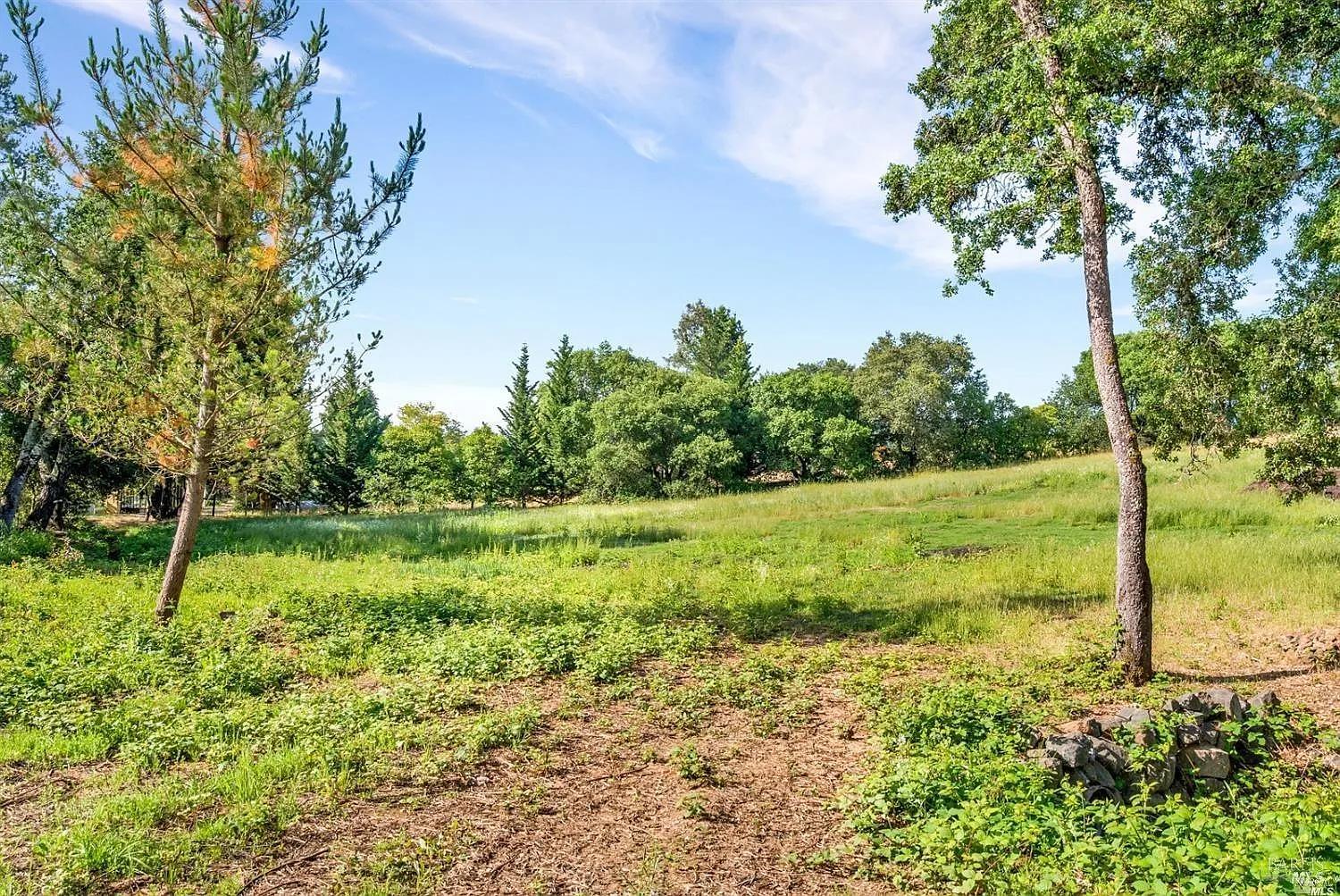1100 Lytton Springs Road - Photo 6