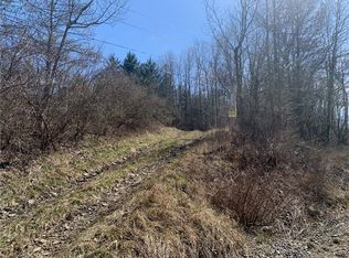 4842 Acker Rd, Hornell, NY 14843