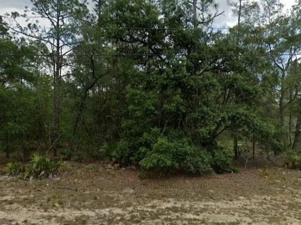 6299 N Allston Ter #4, Dunnellon, FL 34433