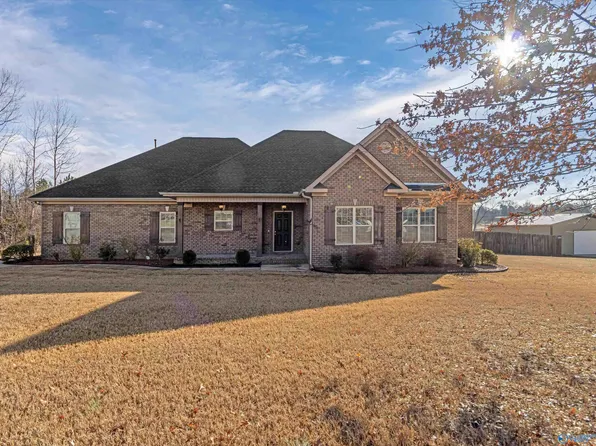 113 Neel School Rd, Danville, AL 35619