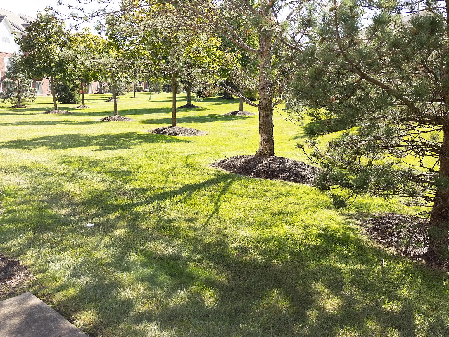 422 Cherry Orchard Rd — Photo 4