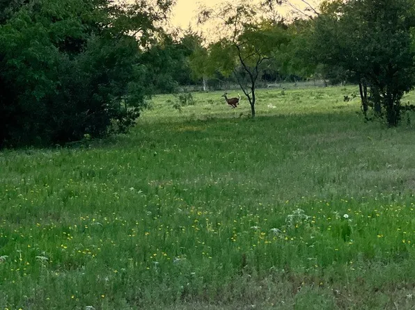 0 Lcr 786, Thornton, TX 76687