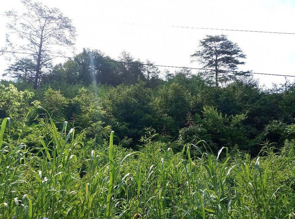 2nd image of Sinking Creek Rd