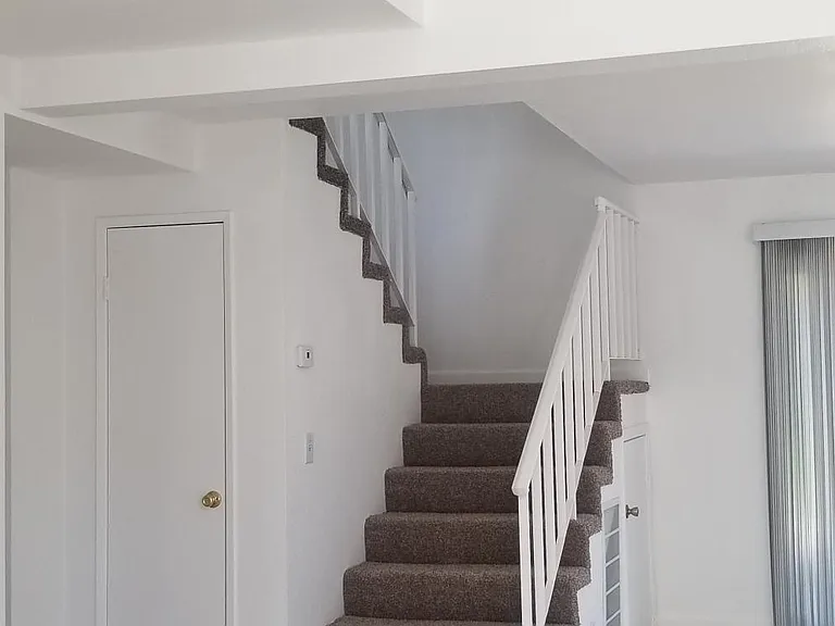 29508 Poppy Meadow St — Photo 13